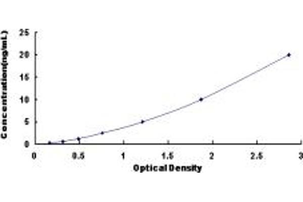 IL13RA2 ELISA Kit