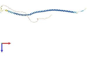 ARGLU1 Protein (AA 1-271) (His tag)