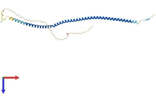 ARGLU1 Protein (AA 1-271) (His tag)
