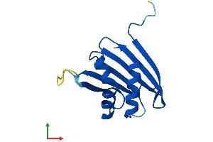 AlphaFold protein structure predicition of Mouse Recombinant Psmg3 Protein, UniprotID Q9CZH3