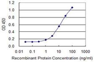ELISA image for anti-Acyl-CoA Thioesterase 7 (ACOT7) (AA 1-339) antibody (ABIN599527) (ACOT7 Antikörper  (AA 1-339))