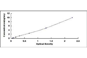 Typical standard curve (UCP2 ELISA Kit)