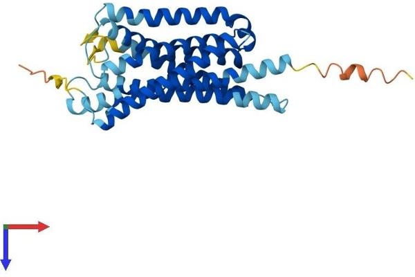 GPR35 Protein (AA 1-309) (His tag)