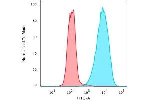 Flow cytometric analysis of PFA-fixed MCF-7 cells stained with EpCAM Mouse Recombinant Monoclonal Antibody (rMOC-31) followed by goat anti-mouse IgG-CF488 (blue), isotype control (red). (Rekombinanter EpCAM Antikörper)