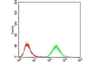 Flow cytometric analysis of Jurkat cells using MDM2 mouse mAb (green) and negative control (red). (MDM2 Antikörper)