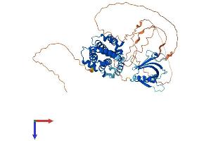 RALGPS2 Protein (AA 1-583) (His tag)