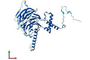 Protein Structure (PS) image for DDB1 and CUL4 Associated Factor 13 (DCAF13) (AA 1-445) protein (His tag) (ABIN7546952)