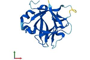 Protein Structure (PS) image for Interleukin 1 Family, Member 10 (Theta) (IL1F10) (AA 1-152) protein (His tag) (ABIN7559755)