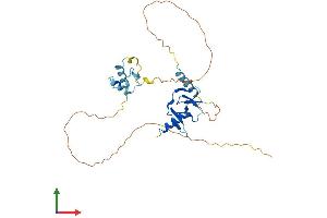 Protein Structure (PS) image for Developmental Pluripotency Associated 4 (DPPA4) (AA 1-296) protein (His tag) (ABIN7559247)