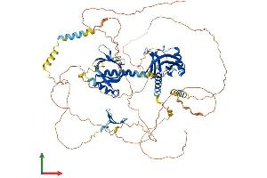 Protein Structure (PS) image for Amyloid beta (A4) Precursor Protein-Binding, Family B, Member 2 (APBB2) (AA 1-760) protein (His tag) (ABIN7561296)