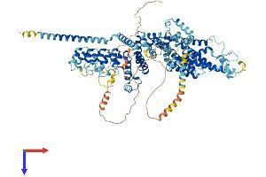 TRPC6 Protein (AA 1-930) (His tag)