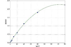 A typical standard curve