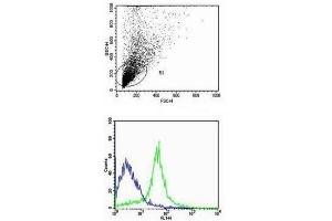 Flow Cytometry (FACS) image for anti-Platelet/endothelial Cell Adhesion Molecule (PECAM1) (AA 601-680) antibody (ABIN669006)