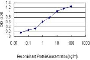 Detection limit for recombinant GST tagged STAU2 is approximately 0. (Double-stranded RNA-binding protein Staufen homolog 2 (STAU2) (AA 2-90) Antikörper)