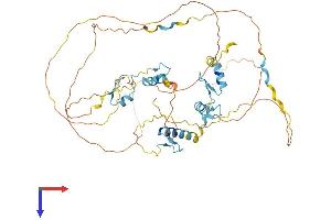 INSM1 Protein (AA 1-521) (His tag)