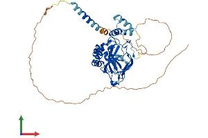 Protein Structure (PS) image for Aspartate beta-Hydroxylase Domain Containing 1 (ASPHD1) (AA 1-390) protein (His tag) (ABIN7552368)