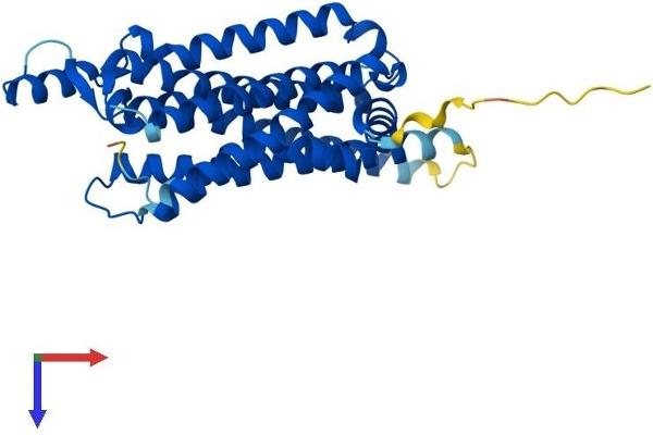 ADORA1 Protein (AA 1-326) (His tag)