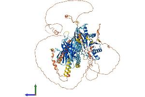 Protein Structure (PS) image for Inositol Polyphosphate-5-Phosphatase F (INPP5F) (AA 1-1132) protein (His tag) (ABIN7555354)