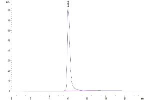 Size-exclusion chromatography-High Pressure Liquid Chromatography (SEC-HPLC) image for Angiotensin I Converting Enzyme 2 (ACE2) (AA 18-740) protein (Fc Tag) (ABIN7273792)