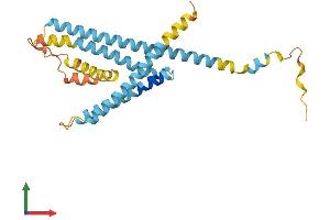 Protein Structure (PS) image for Lysosomal Protein Transmembrane 5 (LAPTM5) (AA 1-262) protein (His tag) (ABIN7548916)