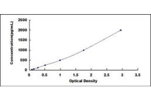 Typical standard curve (ANG ELISA Kit)