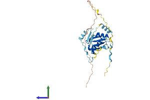 Protein Structure (PS) image for Regulator of Calcineurin 1 (RCAN1) (AA 1-252) protein (His tag) (ABIN7551218)
