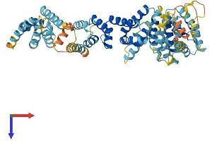 FANCC Protein (AA 1-591) (His tag)