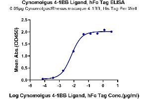 ELISA image for Tumor Necrosis Factor (Ligand) Superfamily, Member 9 (TNFSF9) (AA 68-251) protein (Fc Tag) (ABIN7273927)