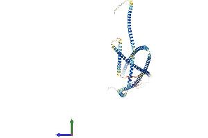 Protein Structure (PS) image for Janus Kinase and Microtubule Interacting Protein 1 (JAKMIP1) (AA 1-626) protein (His tag) (ABIN7558933)