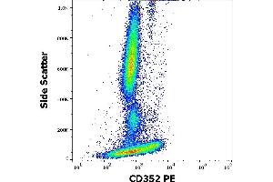 Flow cytometry surface staining pattern of human peripheral whole blood stained using anti-human CD352 (hsF6. (SLAMF6 Antikörper  (PE))