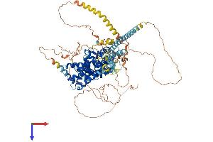 TBC1D5 Protein (AA 1-815) (His tag)