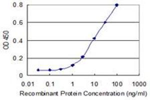 Detection limit for recombinant GST tagged FBXO36 is 0. (FBXO36 Antikörper  (AA 66-165))