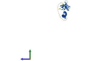 Protein Structure (PS) image for Homer Homolog 1 (HOMER1) (AA 1-366) protein (His tag) (ABIN7565306)