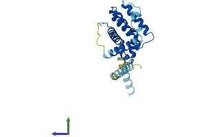Protein Structure (PS) image for BCL2-Related Ovarian Killer (BOK) (AA 1-212) protein (His tag) (ABIN7552841)