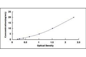 Typical standard curve (Adiponectin Receptor 2 ELISA Kit)