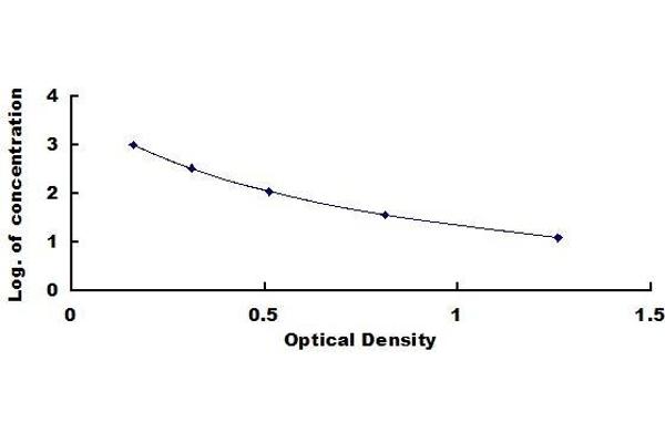 Vasopressin ELISA Kit