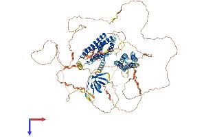 BCAR1 Protein (AA 1-874) (His tag)