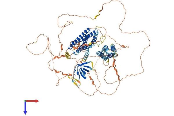 BCAR1 Protein (AA 1-874) (His tag)