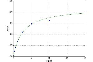 A typical standard curve