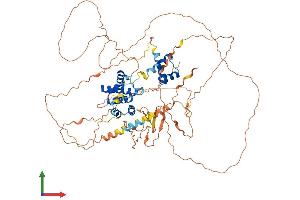 AlphaFold protein structure predicition of Mouse Recombinant Six5 Protein, UniprotID P70178