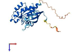 RAB43 Protein (AA 1-210) (His tag)