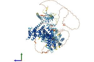 Protein Structure (PS) image for Ras Protein-Specific Guanine Nucleotide-Releasing Factor 1 (RASGRF1) (AA 1-1273) protein (His tag) (ABIN7555210)