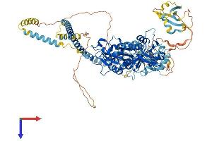 TXNDC11 Protein (AA 1-948) (His tag)