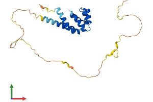 AlphaFold protein structure predicition of Mouse Recombinant Bcl10 Protein, UniprotID Q9Z0H7 (BCL10 Protein (AA 1-233) (His tag))