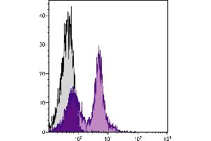 BALB/c mouse splenocytes were stained with Rat Anti-Mouse CD38-FITC. (CD38 Antikörper  (FITC))