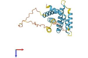 BID Protein (AA 1-195) (His tag)