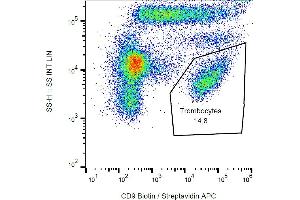 Flow cytometry analysis (surface staining) of human peripheral blood with anti-CD9 (MEM-61) biotin / streptavidin-APC. (CD9 Antikörper  (Biotin))