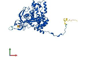 Protein Structure (PS) image for Dihydropyrimidinase (DPYS) (AA 1-519) protein (His tag) (ABIN7547175)