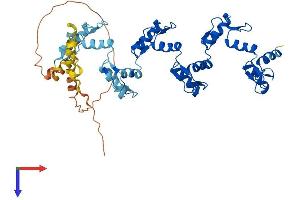 ZNF436 Protein (AA 1-470) (His tag)