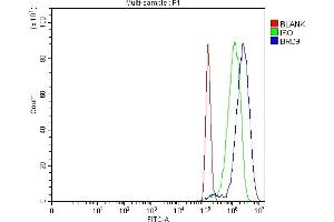 Flow Cytometry analysis of PC-3 cells using anti-BRD9 antibody (ABIN7602322). (BRD9 Antikörper  (AA 7-271))